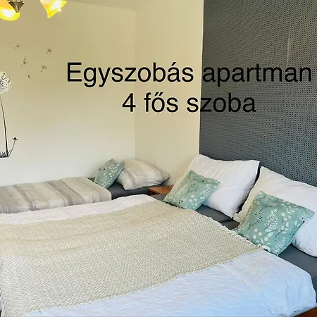 Апартаменты Teesz Vendeghaz *